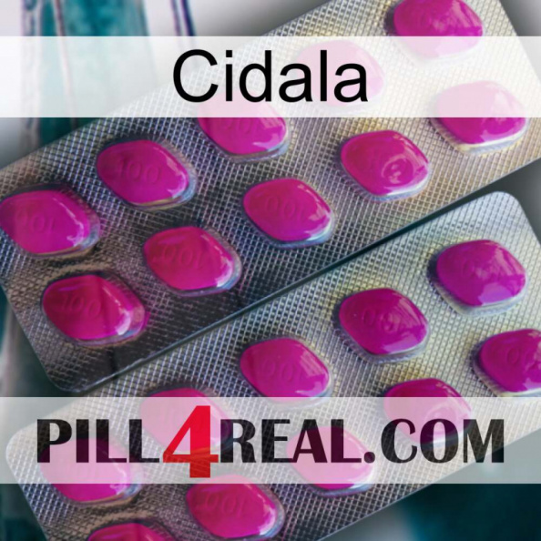 Cidala 10.jpg